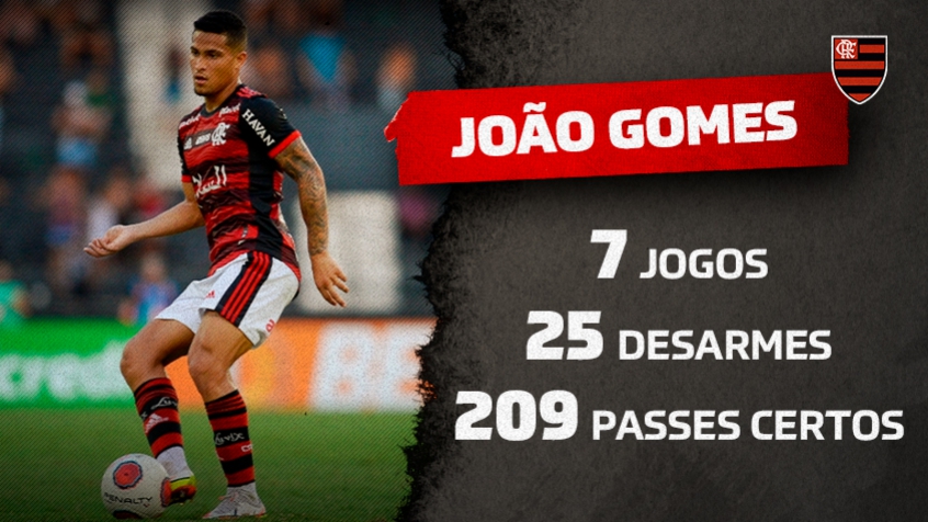 Estatísticas - João Gomes