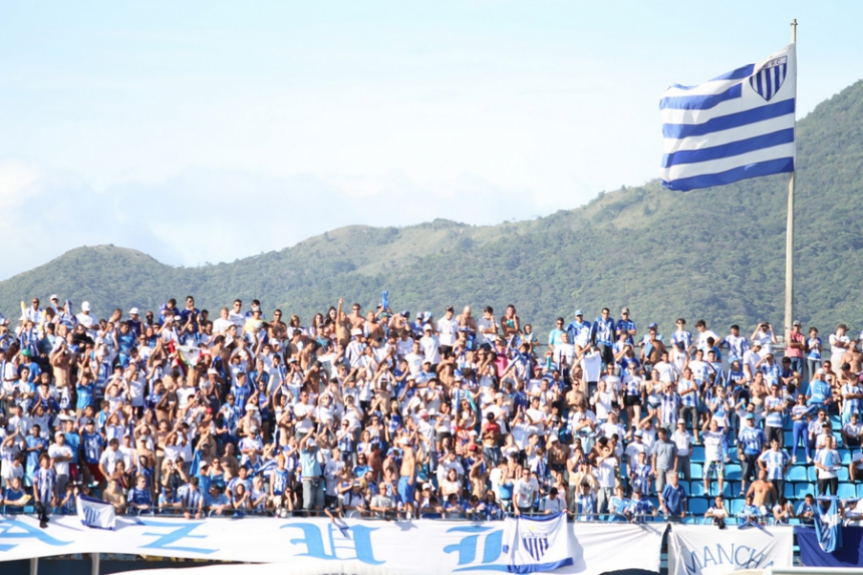 Torcida do Avaí