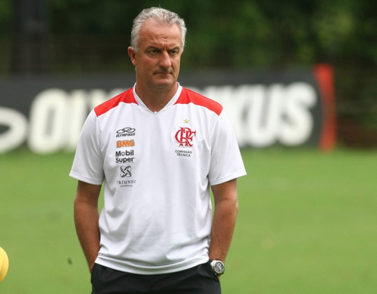 Flamengo - Dorival J&uacute;nior (2012-2013)
