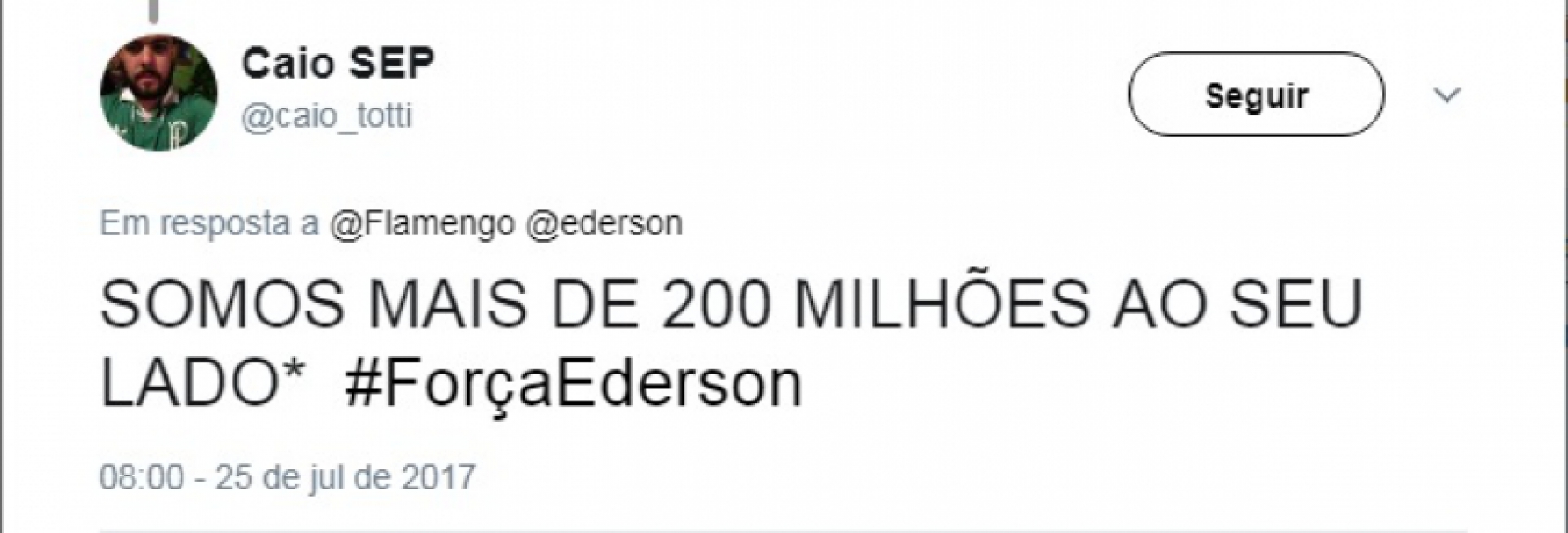Torcedor do Palmeiras #For&ccedil;aEderson