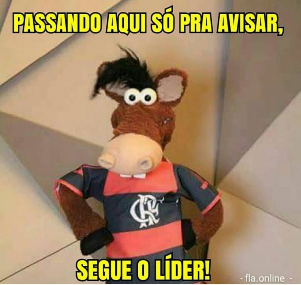 Os melhores memes da vitória do Flamengo sobre o Fluminense