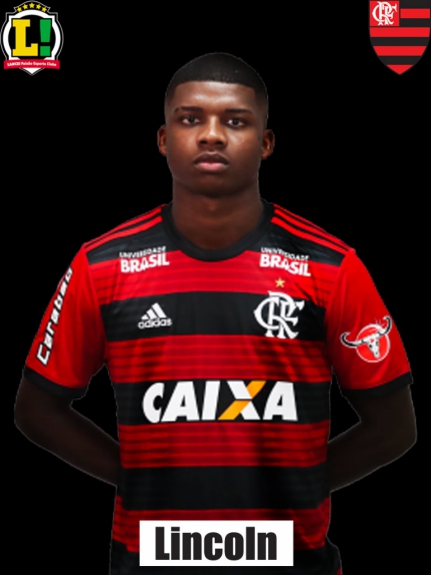Atua&ccedil;&otilde;es Lincoln 2018
