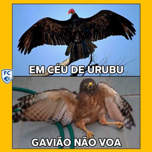 Copa do Brasil: os memes de Flamengo 1 x 0 Corinthians