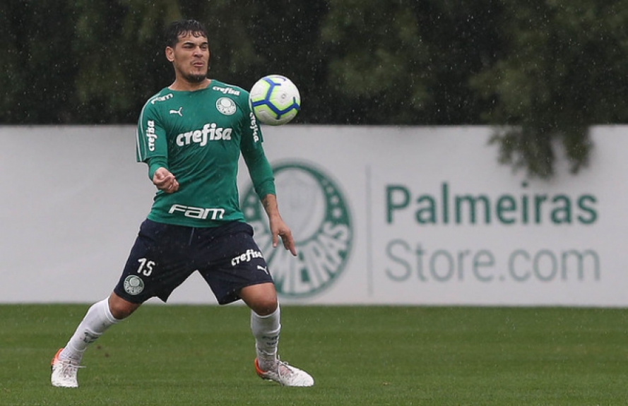 Gustavo G&oacute;mez Palmeiras