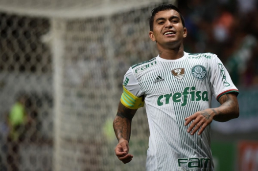 Fluminense x Palmeiras - Dudu