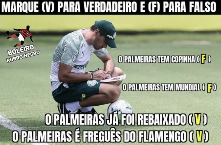 Confira os memes da vitória do Palmeiras sobre Flamengo - Gazeta Esportiva