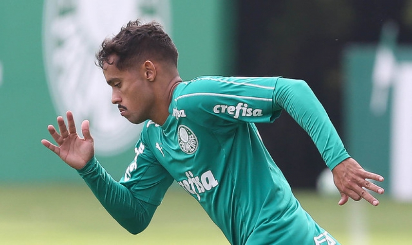 Gustavo Scarpa Volta A Treinar Com Elenco E Deve Ser Opção No Palmeiras ...