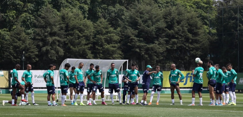 Palmeiras Faz último Treino Antes De Pegar O Avaí; Veja Provável ...