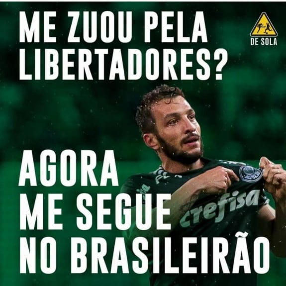 Resultado de imagem para palmeiras