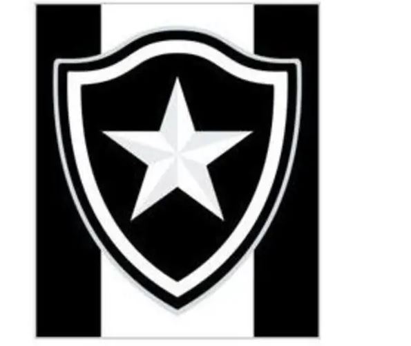 8 - Botafogo de Futebol e Regatas