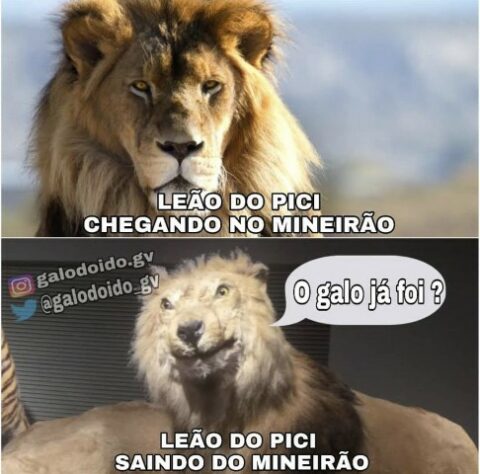 Copa do Brasil: os melhores memes de Atlético-MG 4 x 0 Fortaleza