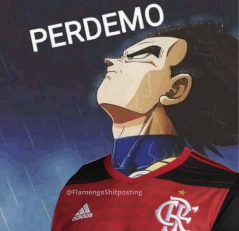 sumiram flamenguistas?#memes #zuandoflamengo #viralizeinoforyou