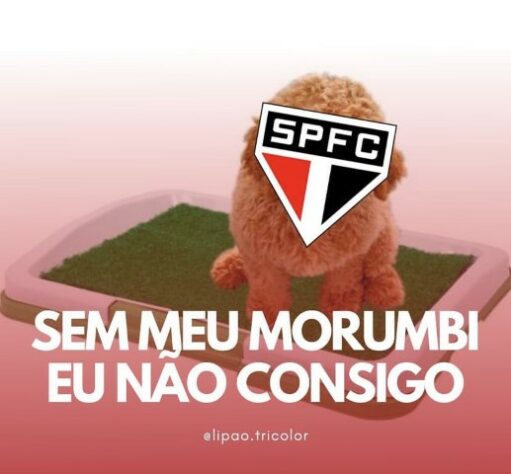 Brasileirão: os melhores memes de Coritiba 1 x 1 São Paulo