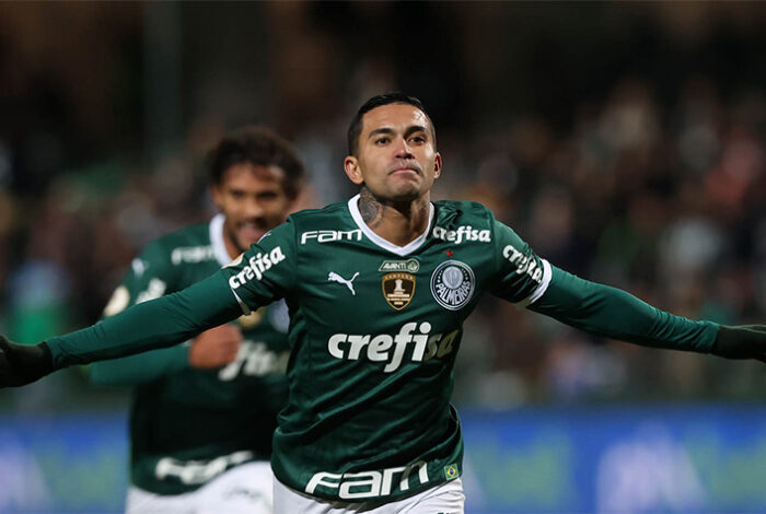 Despedida do Dudu! Relembre os títulos do ídolo do Palmeiras