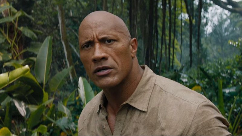 Dwayne Johnson é um ex-jogador de futebol americano e wrestler profissional que é mais conhecido pelo seu trabalho como ator. Protagonista de vários trabalhos, é possível destacar algumas obras como Jumanji, Treinando o Papai e em algumas edições de Velozes e Furiosos.