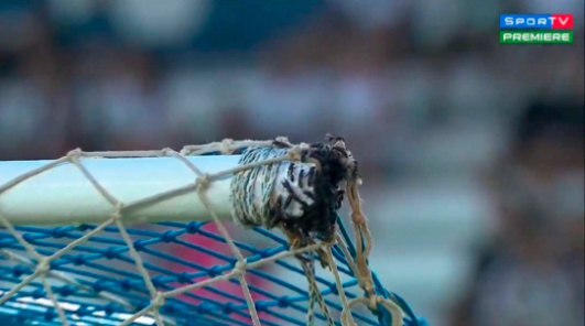 2019 - A Cabofriense venceu o Botafogo por 3 a 1, mas a situação do Moacyrzão roubou a cena no confronto naquele Estadual. Uma das traves do estádio tinha ninho de marimbondos. Além disso, houve incêndio em um dos refletores do estádio. Logo depois, a interdição foi confirmada pela Ferj.