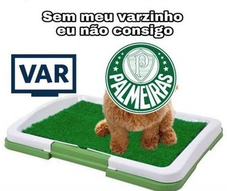 Nem com o VAR? Torcedores do São Paulo provocam o Palmeiras em memes após classificação na Copa do Brasil