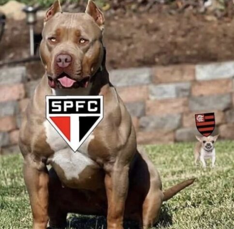 Título inédito do São Paulo na Copa do Brasil rende enxurrada de memes nas redes sociais. Torcedores do Tricolor enalteceram Dorival Júnior e Flamengo sofreu com provocações após novo "cheirinho".