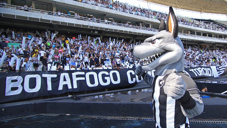 Botafogo - O Glorioso tem o cachorro Biriba como mascote. O cão se tornou amuleto da equipe após o cão do jogador Macaé ter invadido o campo durante o gol que consagrou a vitória do Botafogo sobre o Madureira por 10 a 2.