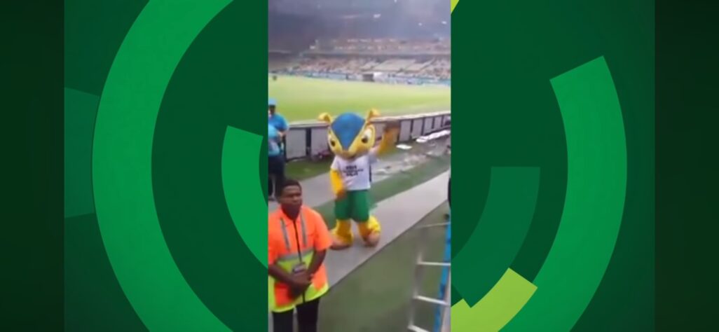 Nem o mascote da Copa ficou longe da zoação dos torcedores no estádio. O vídeo em que um grupo de espectadores gritam "Fuleco V****" viralizou nas redes sociais e até hoje é compartilhado pela Internet.