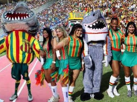 O Tubarão do Sampaio Correia-MA é indiscutivelmente um dos maiores mascotes do futebol nordestino. Maior do que isso, só a diferença do corpo pra perna do mascote.