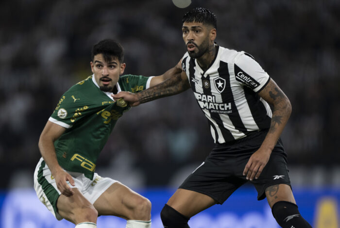 Botafogo venceu e abriu vantagem decisiva contra Palmeiras; confira as probabilidades de título