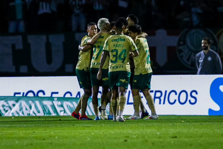 Palmeiras- Campeão (7,3%), rebaixado (0,0%)