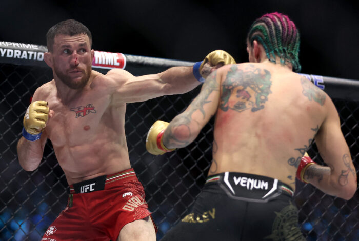 Dvalishvili tira cinturão de O’Malley no UFC! Veja todos os atuais campeões