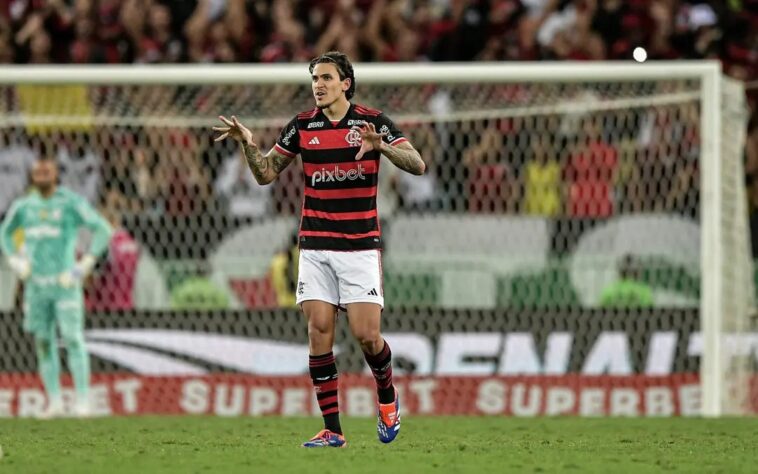 Pedro (Flamengo) - 30 gols (Campeonato Carioca: 11 gols, Libertadores: 5 gols, Campeonato Brasileiro: 11 gols, Copa do Brasil: 3 gols)