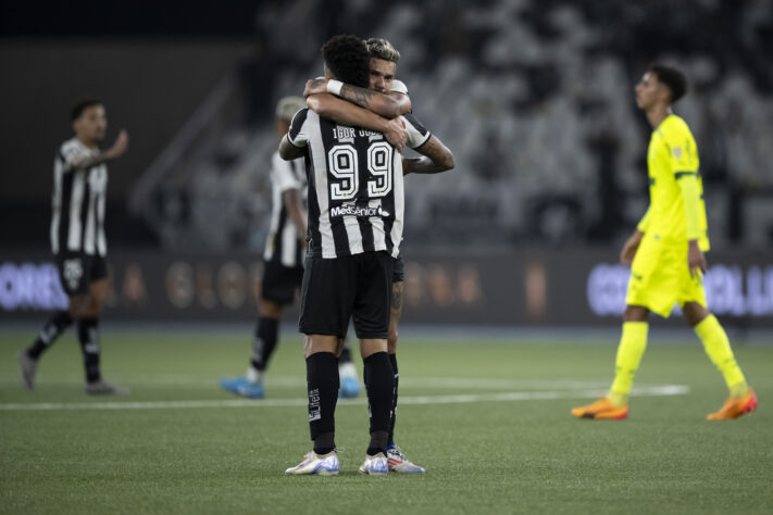 Botafogo 2x1 Palmeiras (oitavas de final)