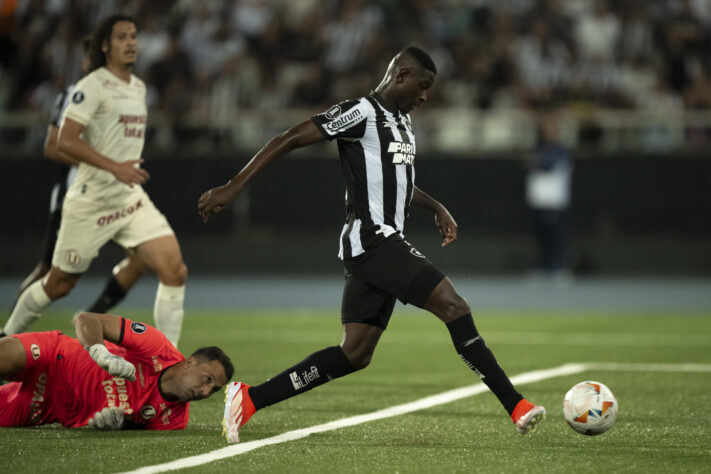 Botafogo: título: 43.0%/ rebaixamento: 0%