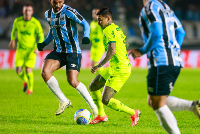 Palmeiras e Grêmio; relembre jogadores que já atuaram pelos dois clubes!