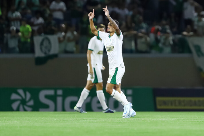 Palmeiras (Grupo 19)